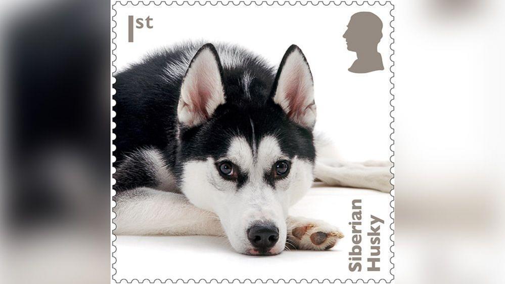 husky stamp