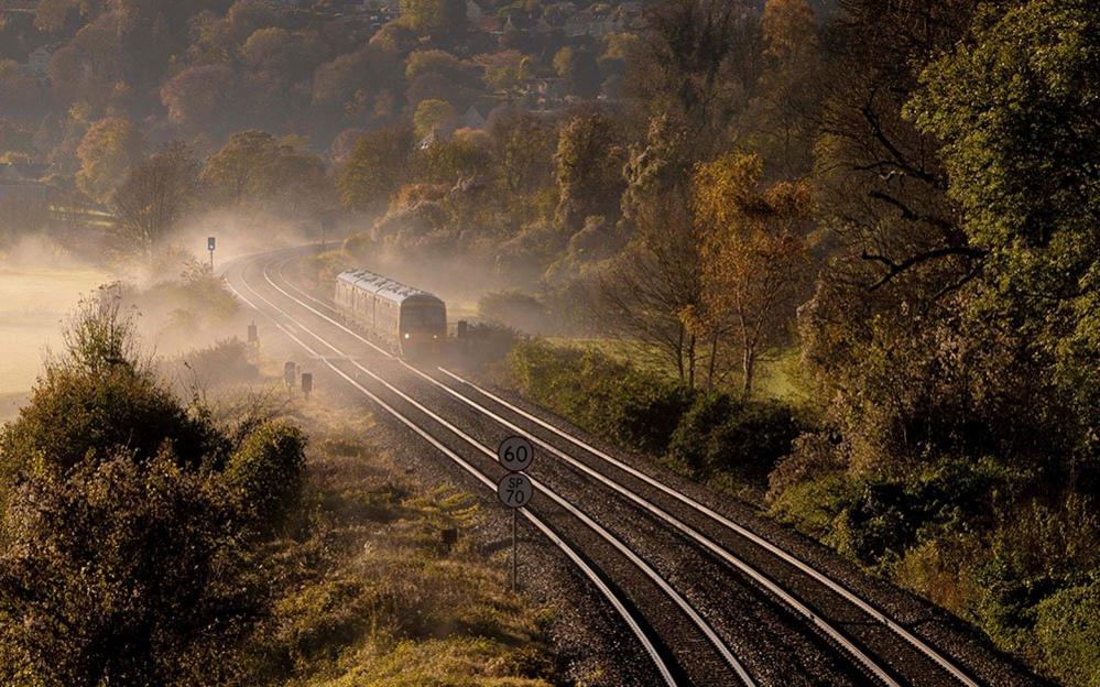 Train passing through trees