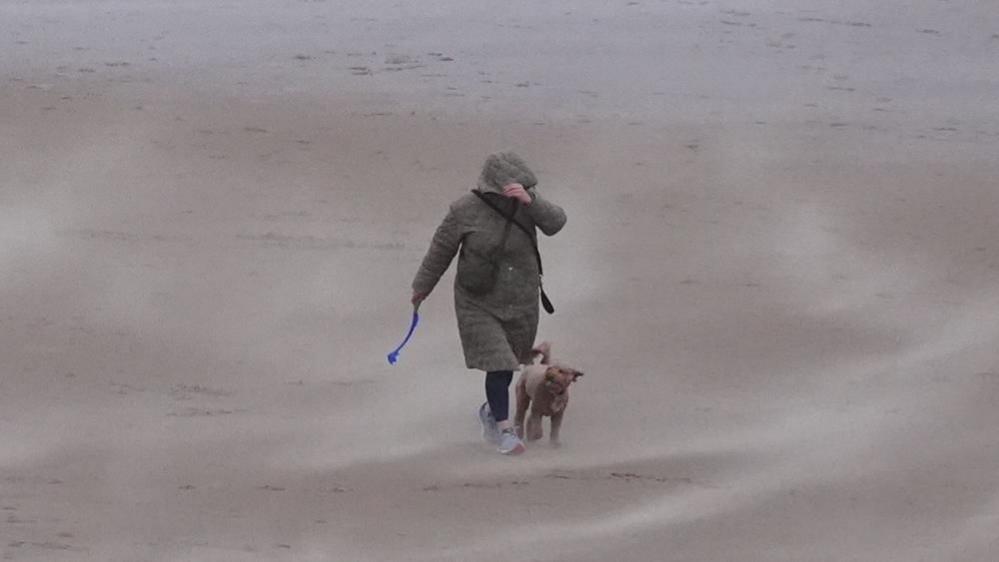 A person in a long green padded coat holds the hood over their face as they walk with a small terrier dog along sand. White wisps can be seen around them.