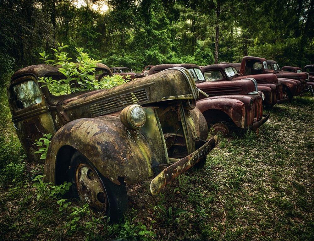 A line of abandoned cars in a forest