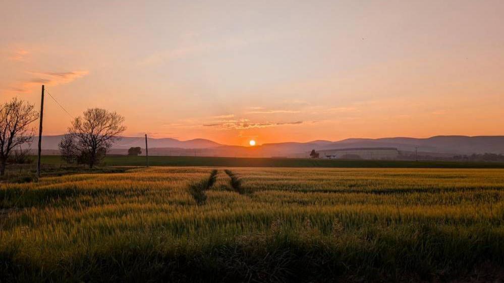 A vibrant sunset casts warm colours over a field, with a winding road visible in the background.