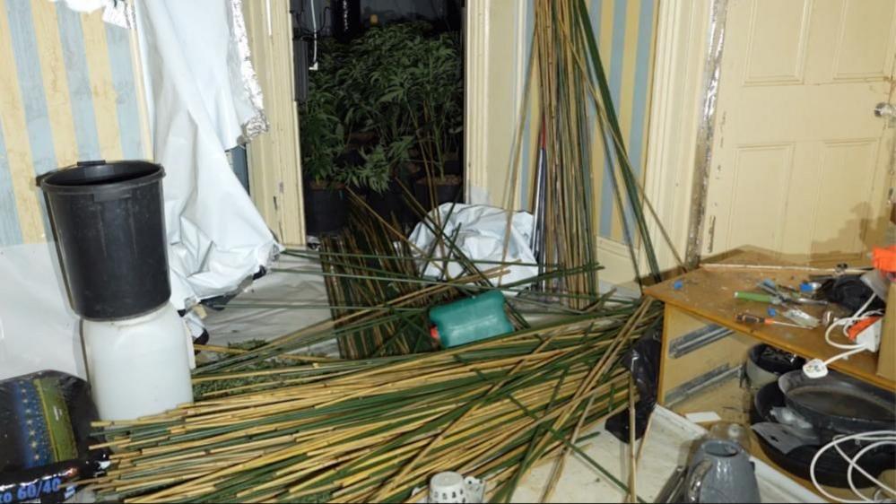 A room with cream-coloured walls and blue and yellow curtains. A number of garden canes are visible lying on the floor and leaning against the walls. There are two buckets to the left. Green-leaved plants are seen on the other side of a doorway. A kettle and a cup can be seen to the right.