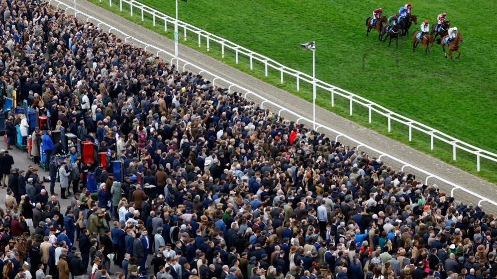 Hundreds of spectators watch horse racing at the Cheltenham Festival 2024