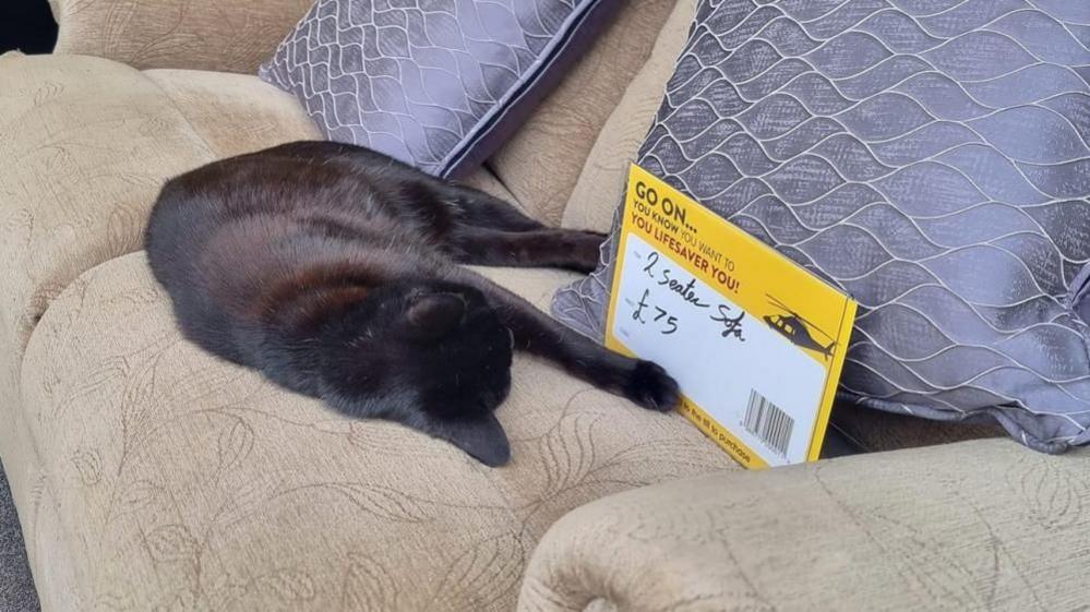 Black cat lying on a beige sofa with a charity shop price sign on it