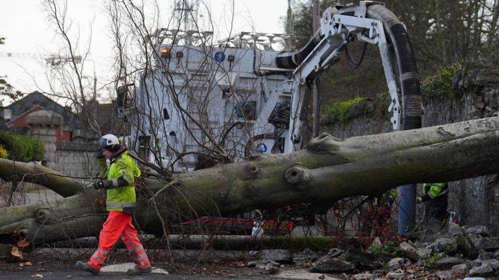 A worker dressed in neon clothing and a helmet surveys a fallen tree which crashed through the wall of Phoenix Park and on to Blackhorse Avenue in Dublin, Ireland.