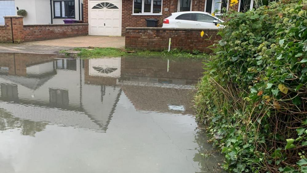 Street with water across the road. There is a house with a white car parked in the drive in the background and a bush to the right.