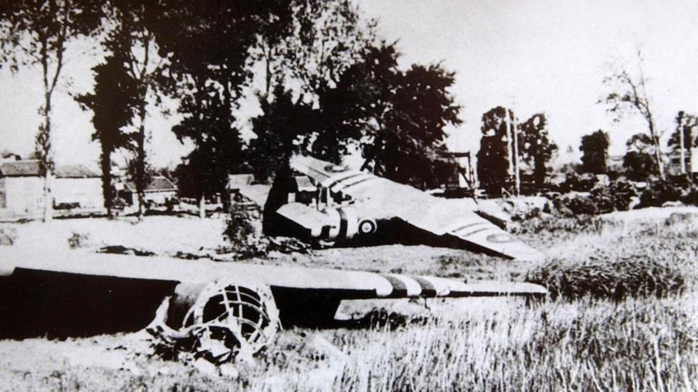 Black and white image of gliders lying in field