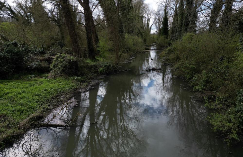 Stagnant sewage fungus and sewage-polluted waters flowing away from the Maple Lodge Sewage Treatment Works in the River Colne, near Maple Cross, Britain