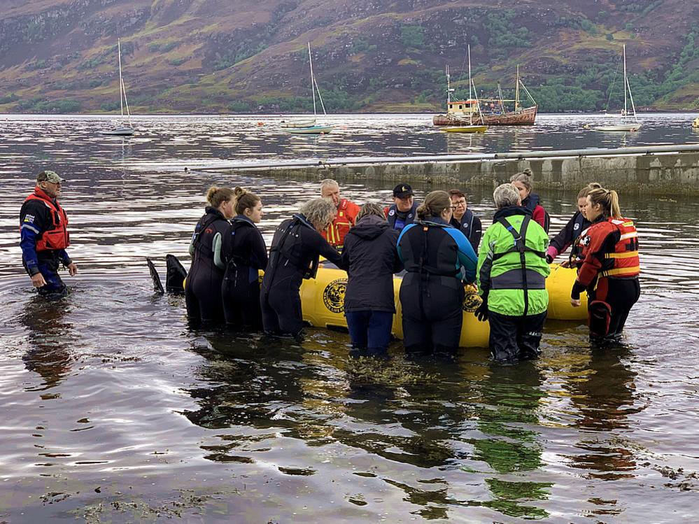 Whale rescue training