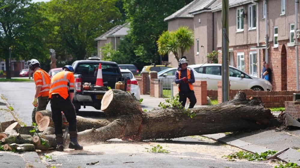 Workers cut up a tree which was felled by the wind on Plessey Road in Blyth, Northumberland