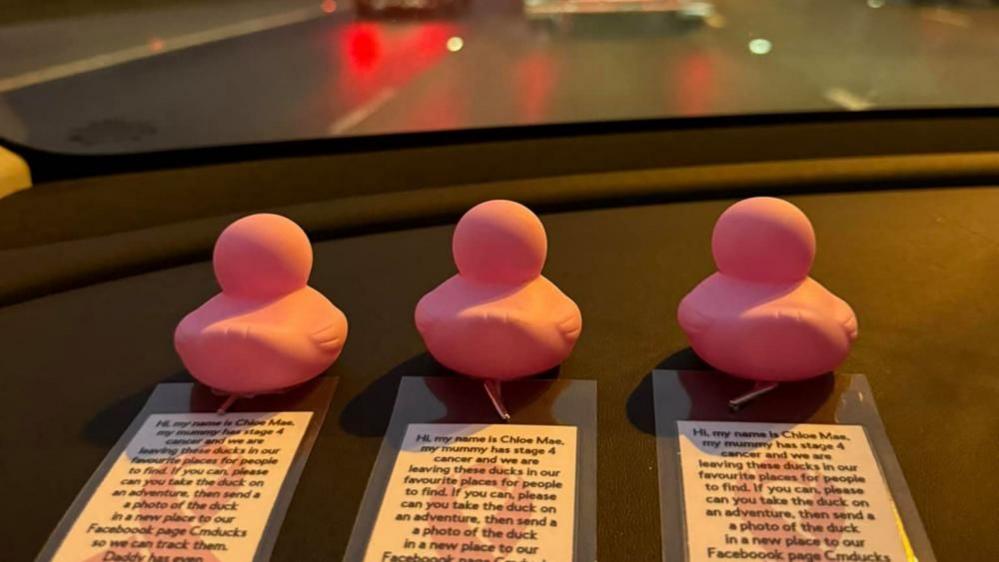 Three pink rubber ducks with labels attached sitting on a car dashboard