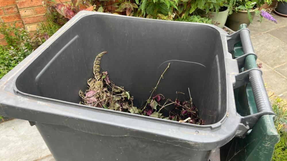 A green garden bin, with green garden waste in it, with the bin open, with plants around it, in a garden
