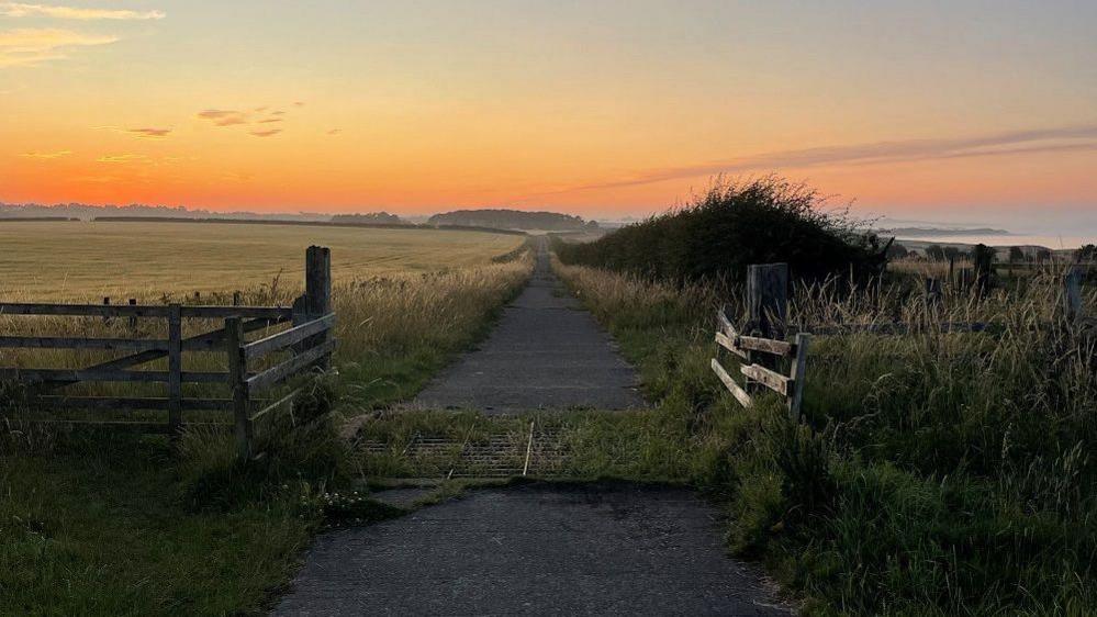 A country lane with a field to the left. On the right is a thick bush with the sea in the distance. The sky is turning orange with very few clouds.