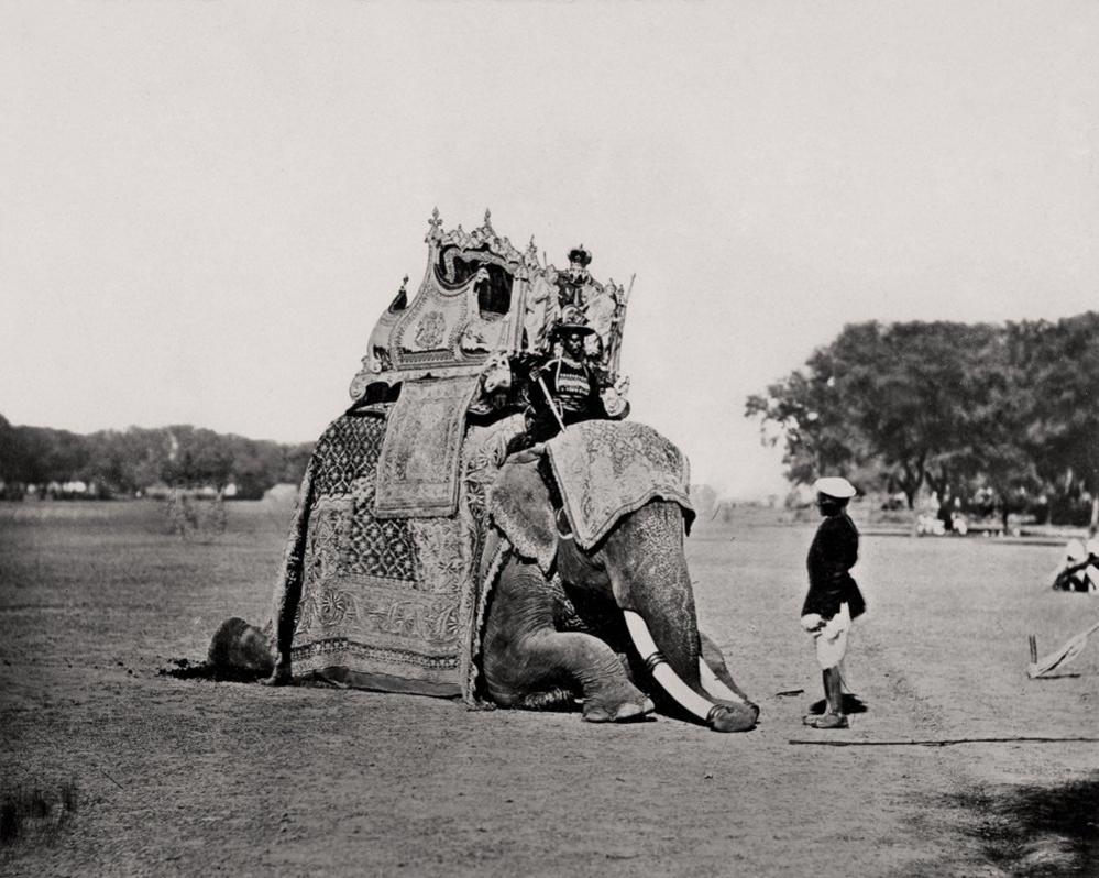 Delhi, His Eminence, The Viceroy’s Elephant, Delhi Durbar, 1877, Courtesy MAP / Tasveer