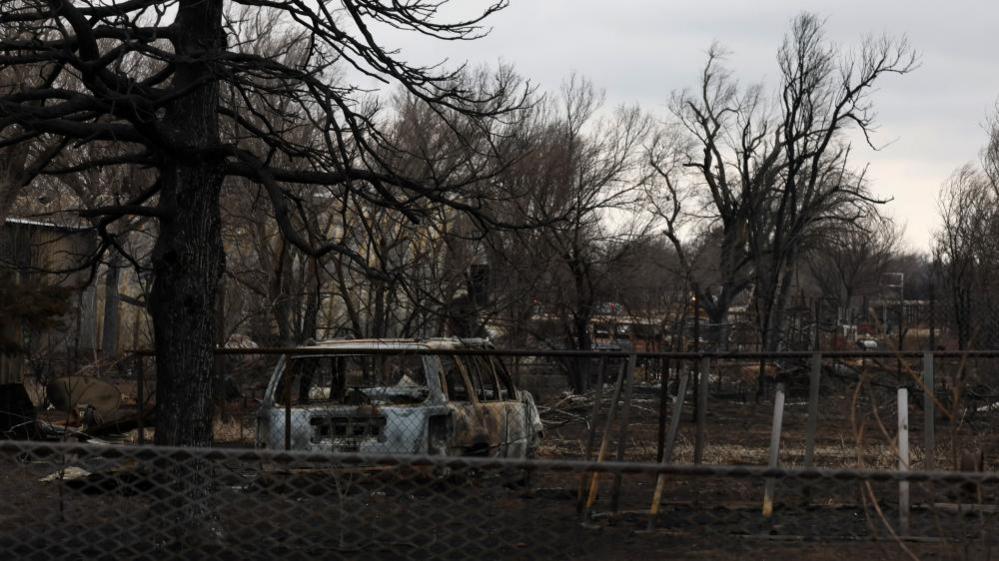 A burned car and trees in Texas