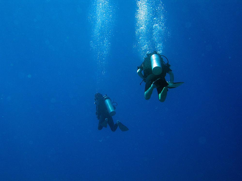 Divers