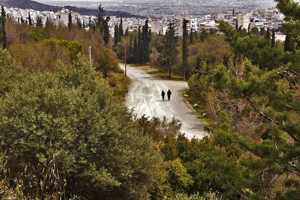 Woodland near Athens