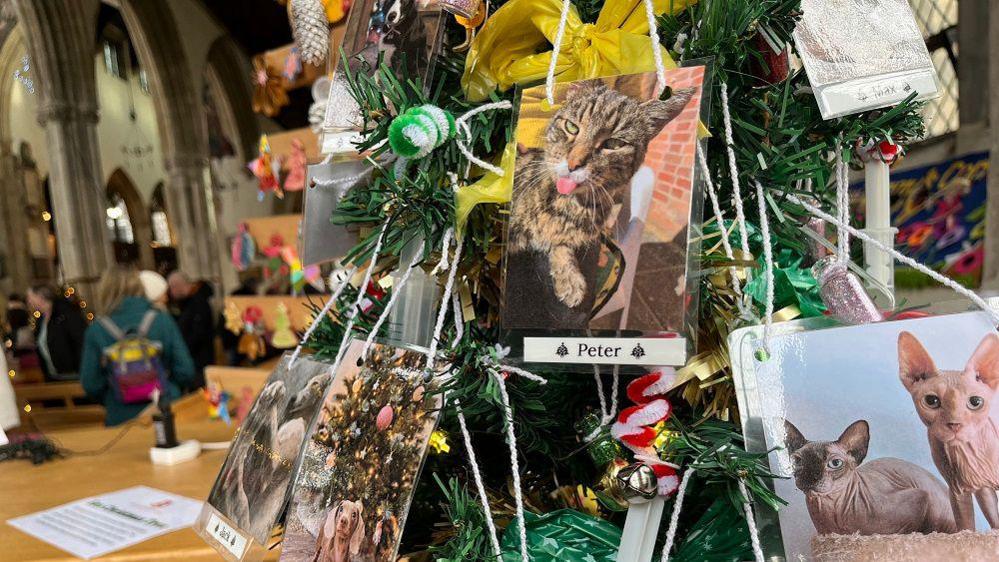 Small part of a Christmas tree with laminated hanging cards showing pictures of cats and dogs