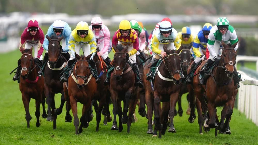 A group of jockeys on horses in a horserace on green grass