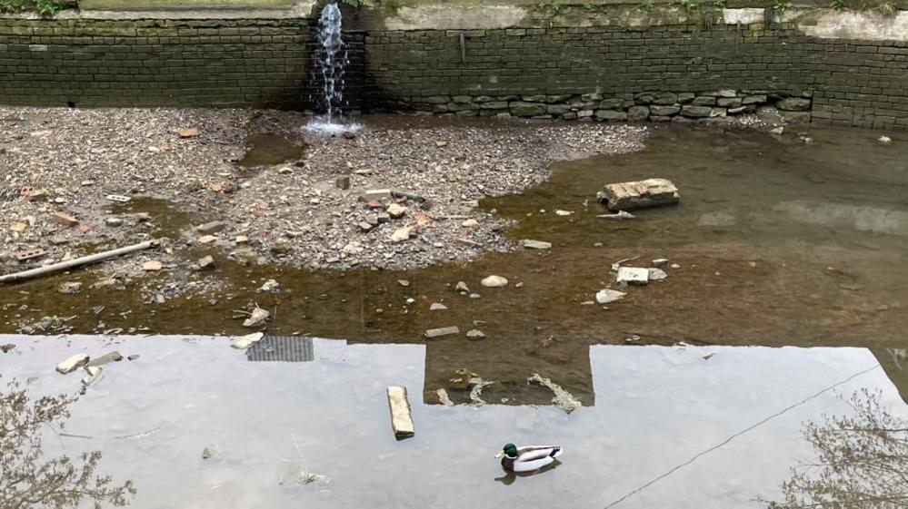 The base of a canal, showing a dry patch covered in stones and an area of shallow water, on which a small duck is gliding past a piece of wood.  There is a stone wall in the background, and a stream of water is rushing into it.