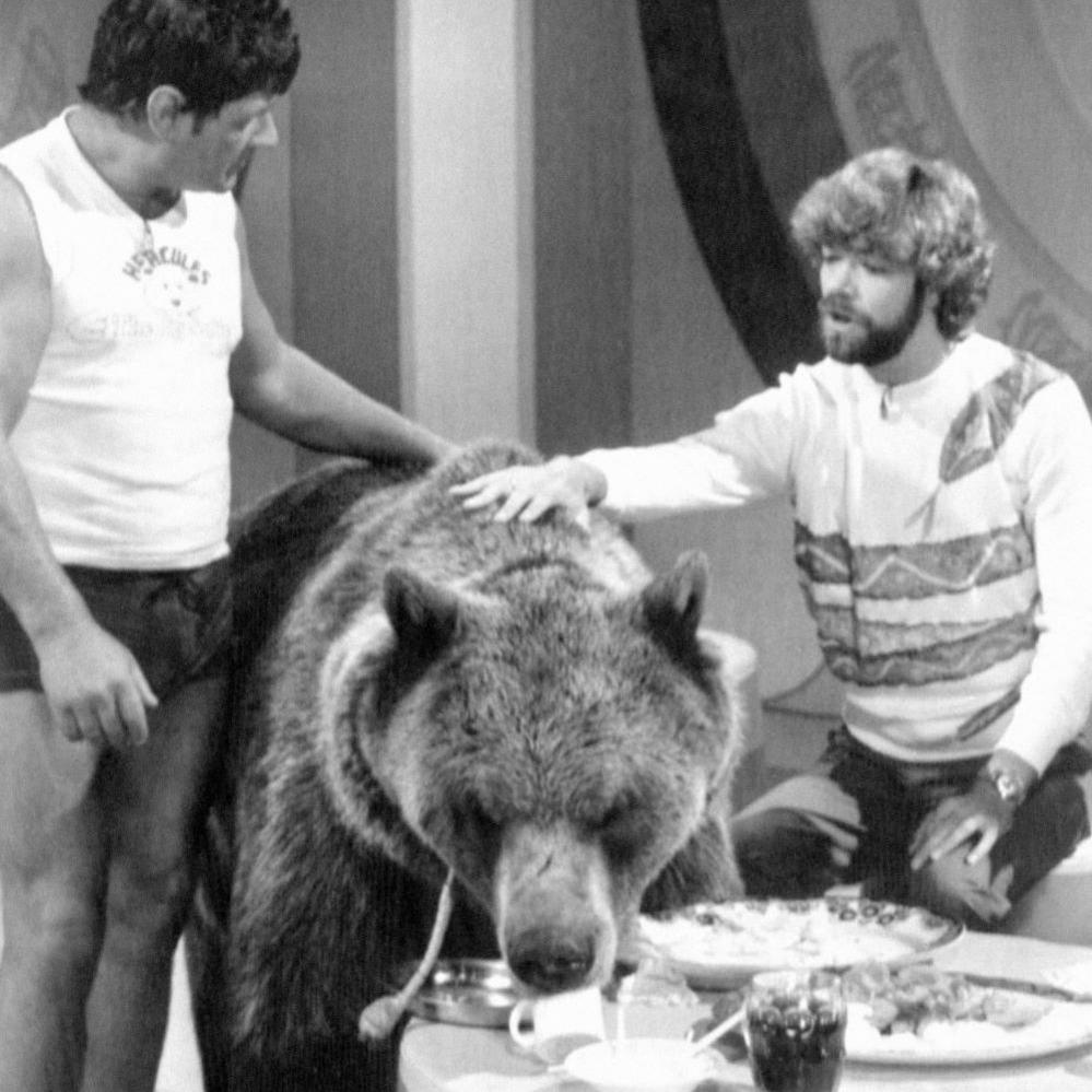 A black and white photo of two men and a bear on a tv programme. One person stands on the left in casual attire, while the other sits on the right in a patterned shirt. The bear, appearing tame, leans over a table with food.