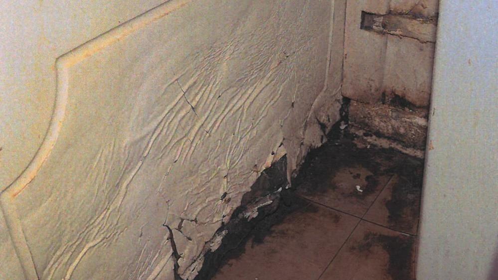 A grainy photo of a corner of a home. The walls near the floor are covered in dark mould and the paint is cracking and the walls are rotting. The brown tiles are also covered in smudges of black-coloured mould.