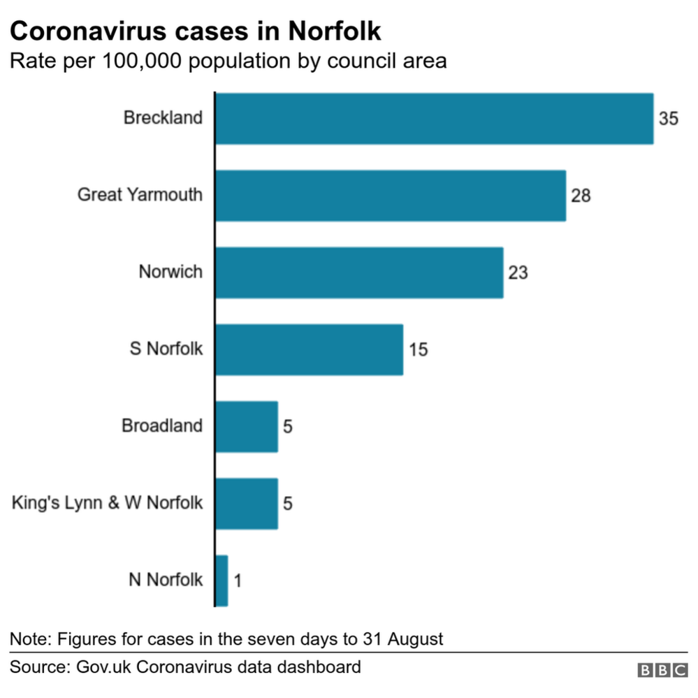 Chart of coronavirus cases in Norfolk