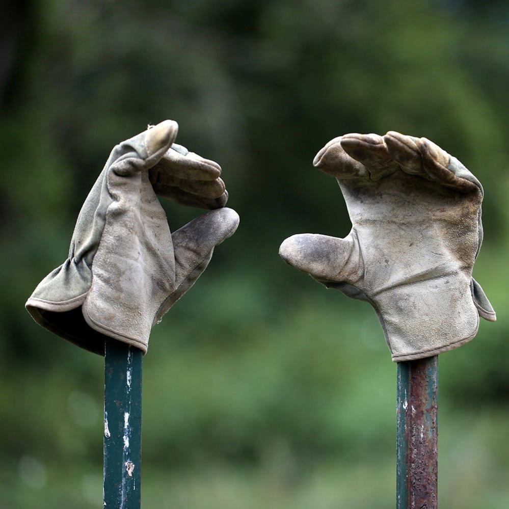 Gardening gloves