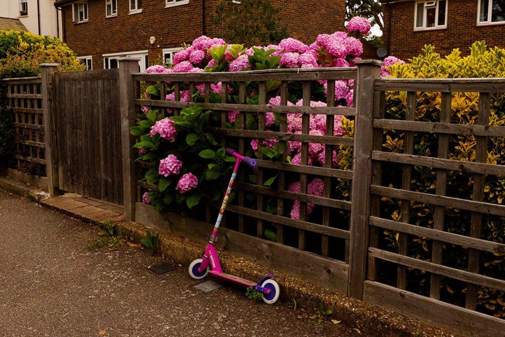 Pink scooter