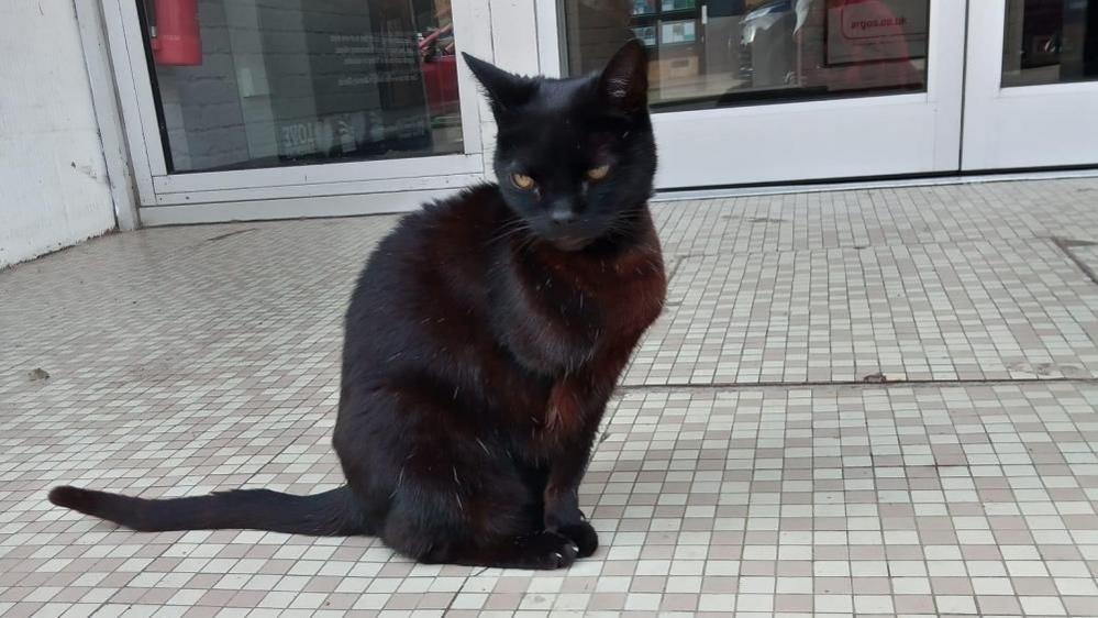 Salem stands in front of the doorway to a shop