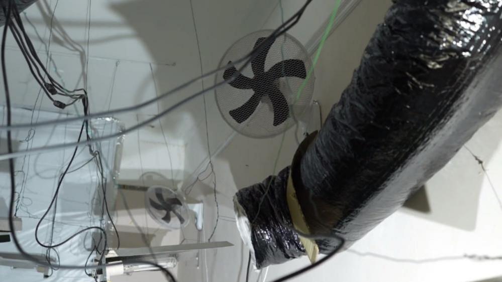 Ceiling of a white-walled room with two electric fans with black blades suspended from the ceiling. A large black pipe is visible to the right and there are many black wires.