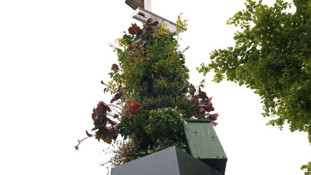 A plant and flower installation around a lamp-post in Manchester