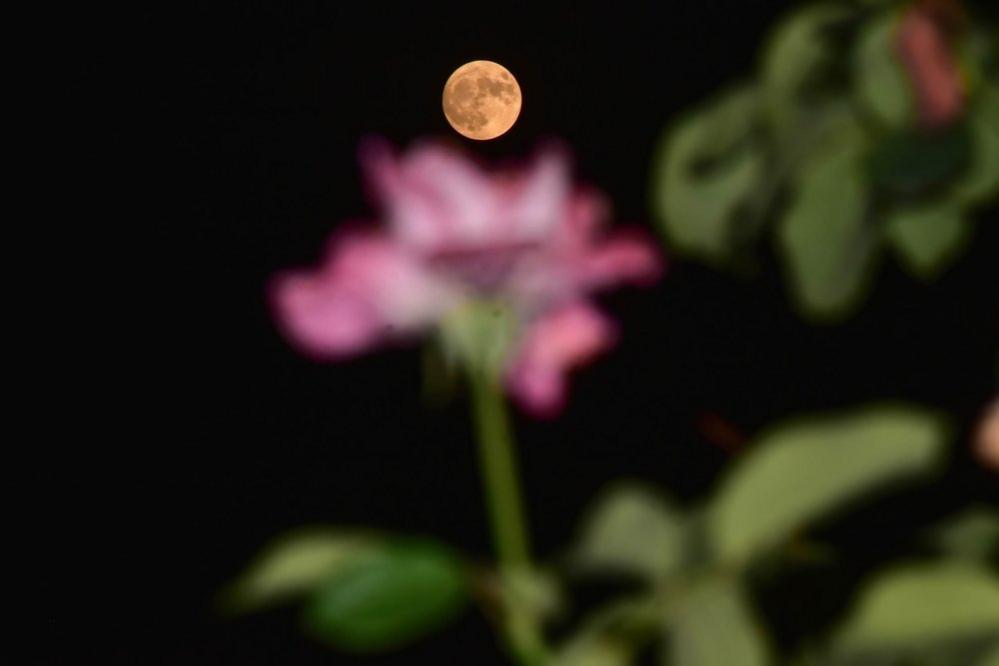 he super Blue Moon rises in Srinagar, the summer capital of Jammu and Kashmir