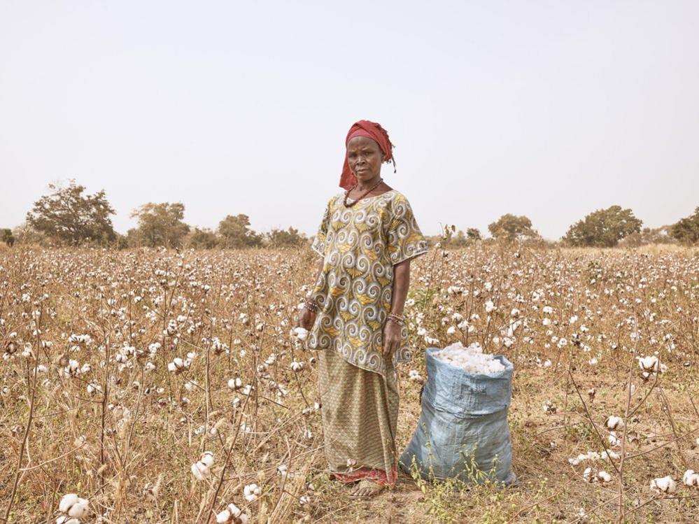 Adamo Diallo, Cotton farmer