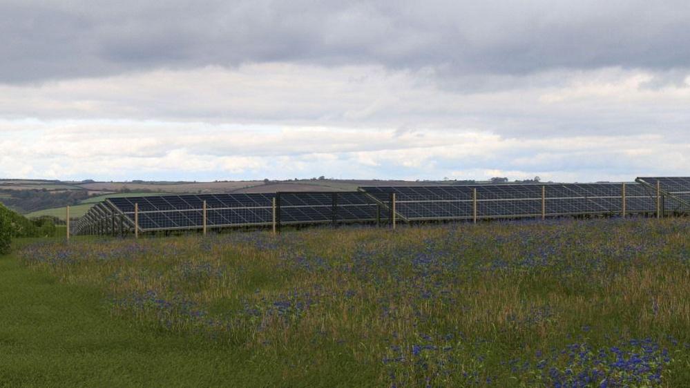 A computer-generated image of what the solar farm might look like. Rows of solar panels enclosed in wire fence sit behind a field of purple flowers.