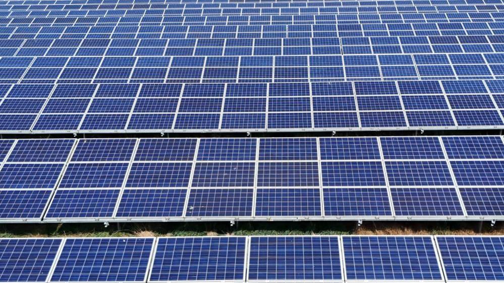 Many rows of large blue solar panels on white grids.