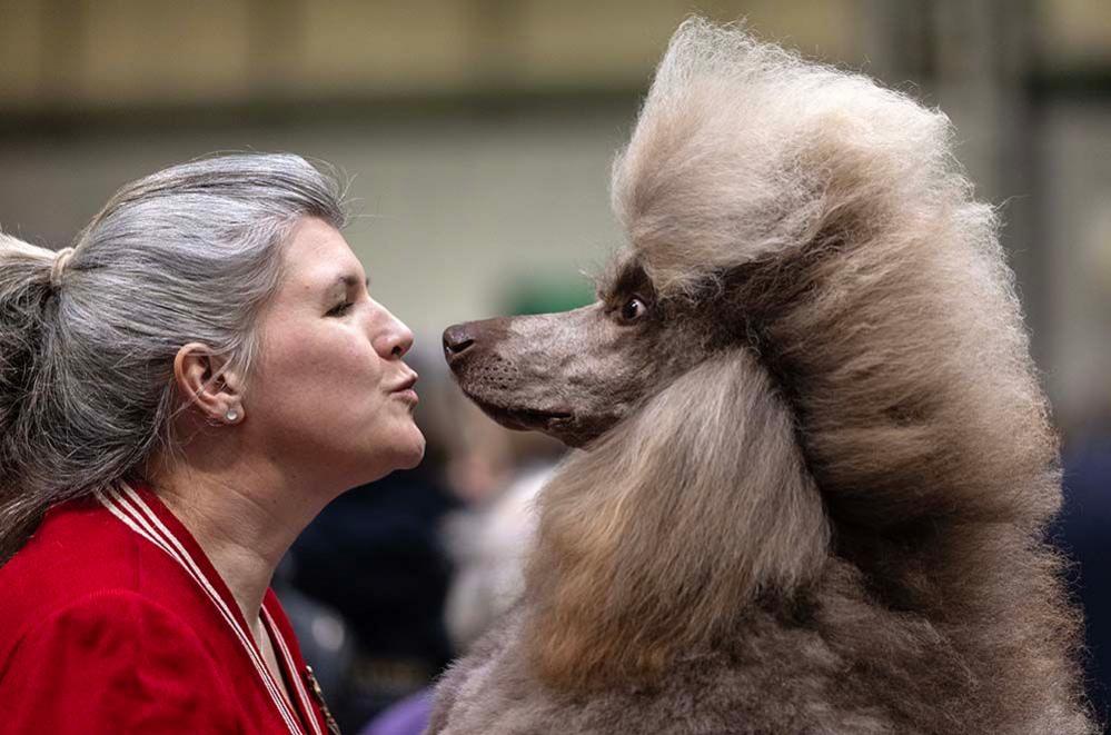 Anna Fisher and her poodle