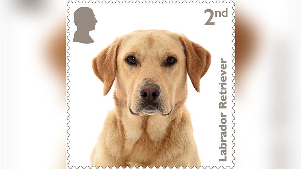 labrador stamp