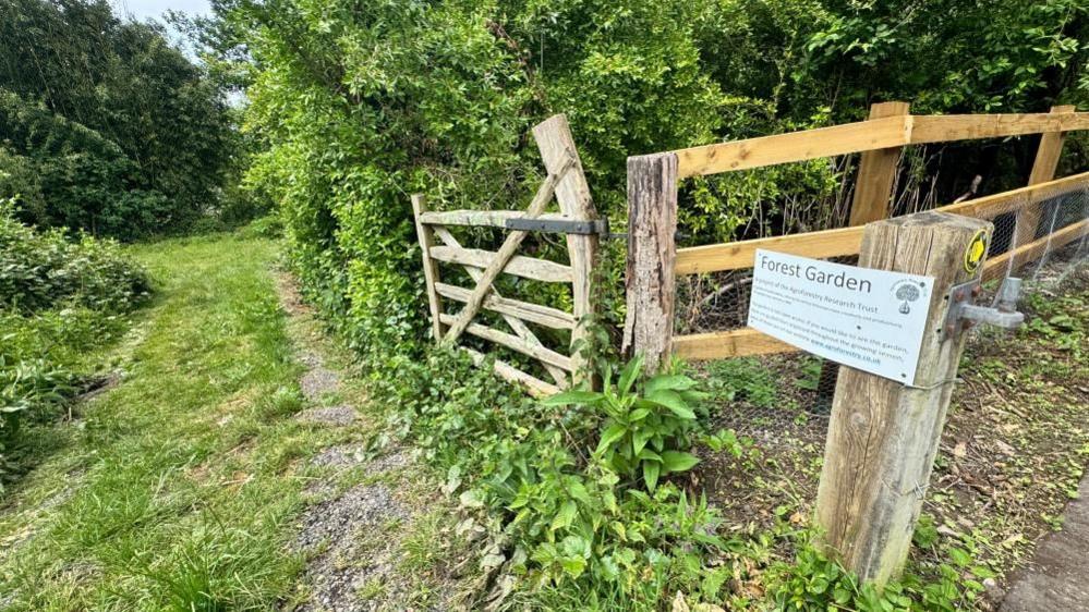 A sign leading the way to the Forest Garden. There is a handmade wooden gate open and a track leading downn to the garden.