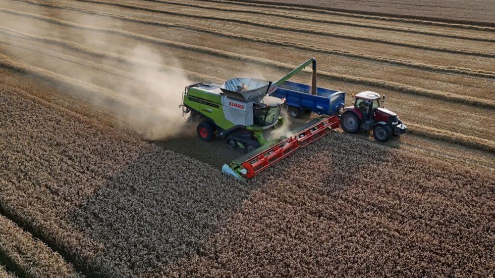 A combine harvester gathers crops during the evening sunshine