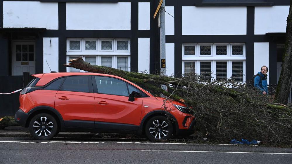 A man walking past looks back at a parked red car with part of a broken tree crushing it