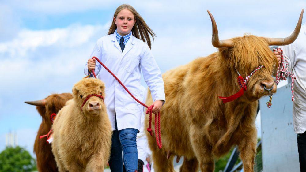 Royal Highland Show