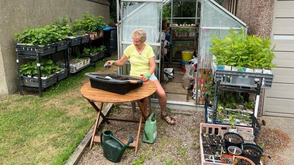 Janet Willoner sits at a wooden table in her garden, in front of a greenhouse. She wears a yellow t-shirt and green gardening gloves, working on a large black bucket filled with soil on the table in front of her. Shelving units with plants can be seen behind her.