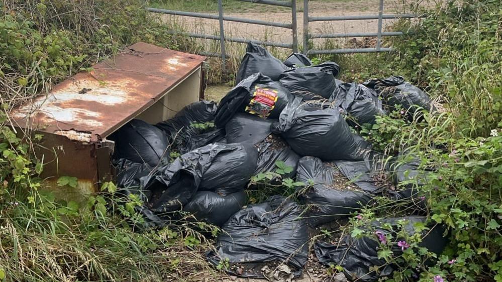 Black bags of rubbish and a rusty discarded fridge dumped in a gateway.