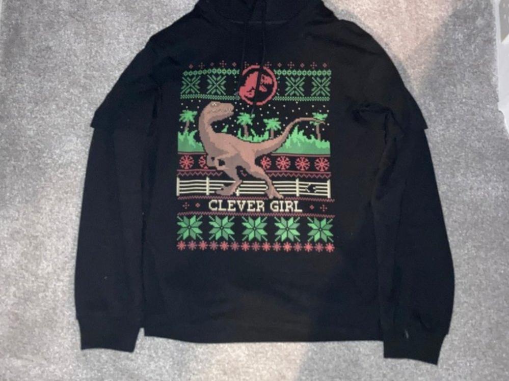 Dinosaur christmas hoodie