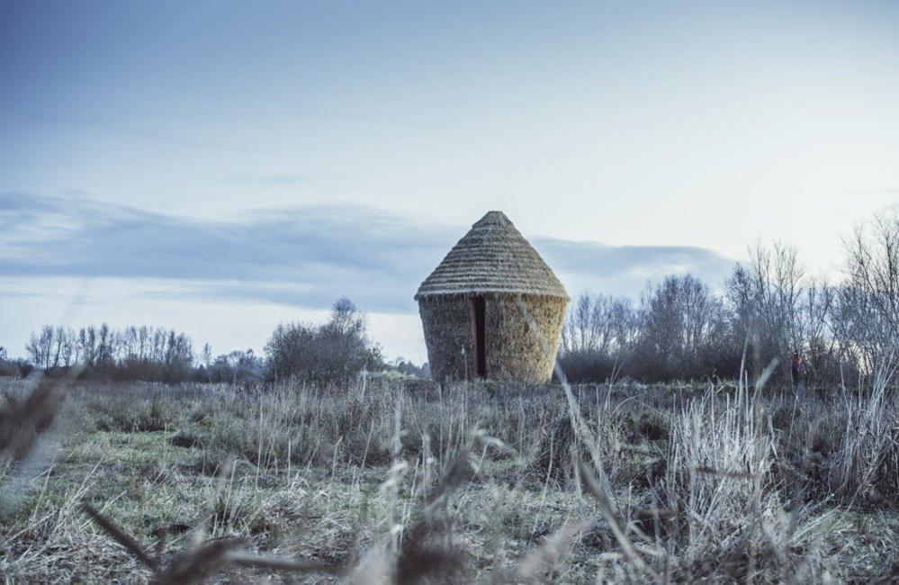 MOTHER.., an art installation at Wicken Fen