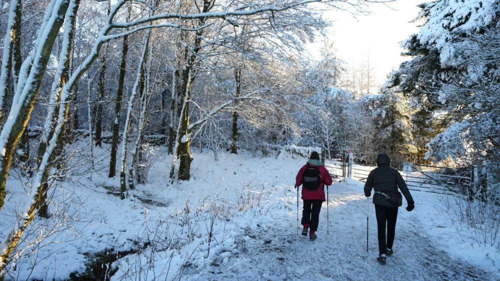 Two people in hiking gear with walking poles stroll on snow with blanket of snow covering floor and trees around them