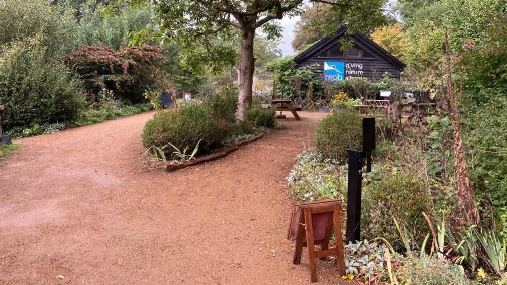 A red gravel path leading to a black wooden building with a blue sign on its front reading: "RSPB". There are numerous plants on either side of the gravel path. 