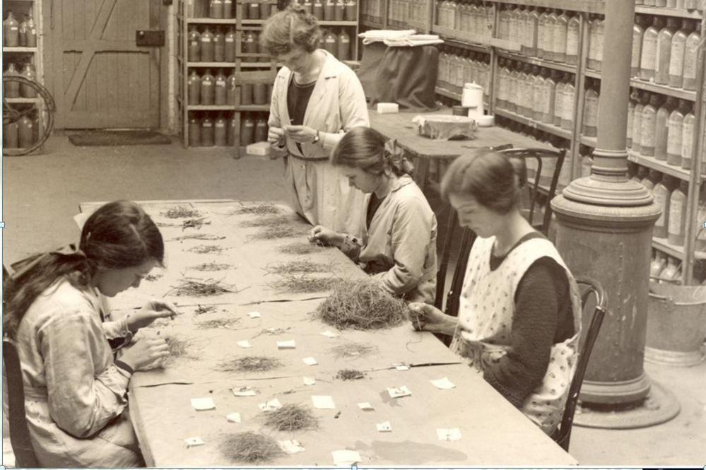 Historic 1930s black-and-white photograph showing four people sorting grass samples at a table, with shelves of labelled sample bottles behind them.
