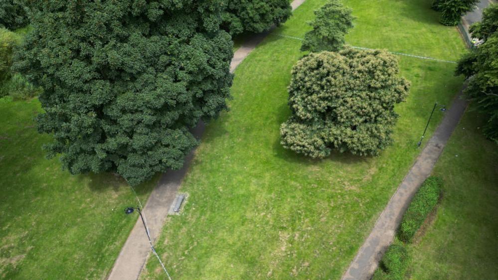 Aerial shot of public park with grass and trees and two paths visible